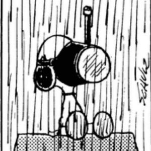 Meet your Posher, Gael